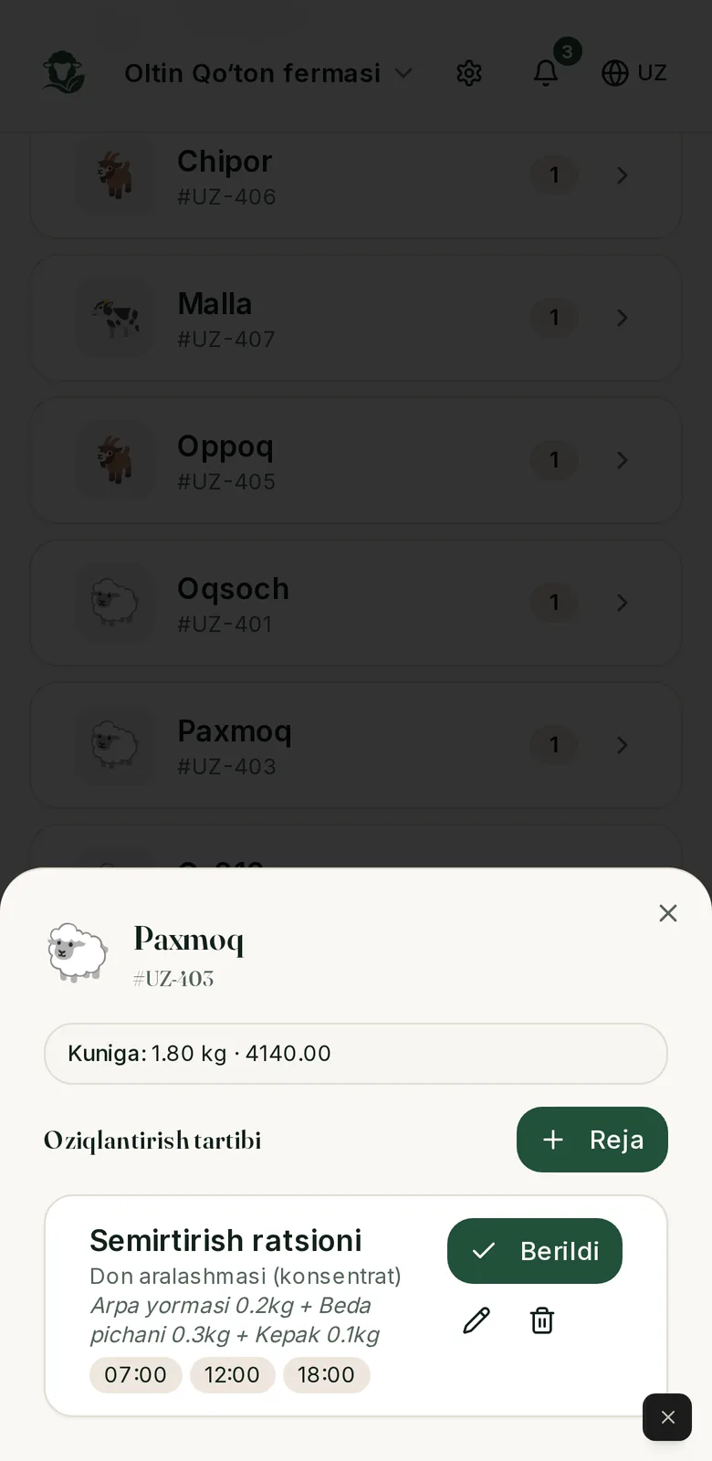 Chorvam: oziqlantirish rejasi
